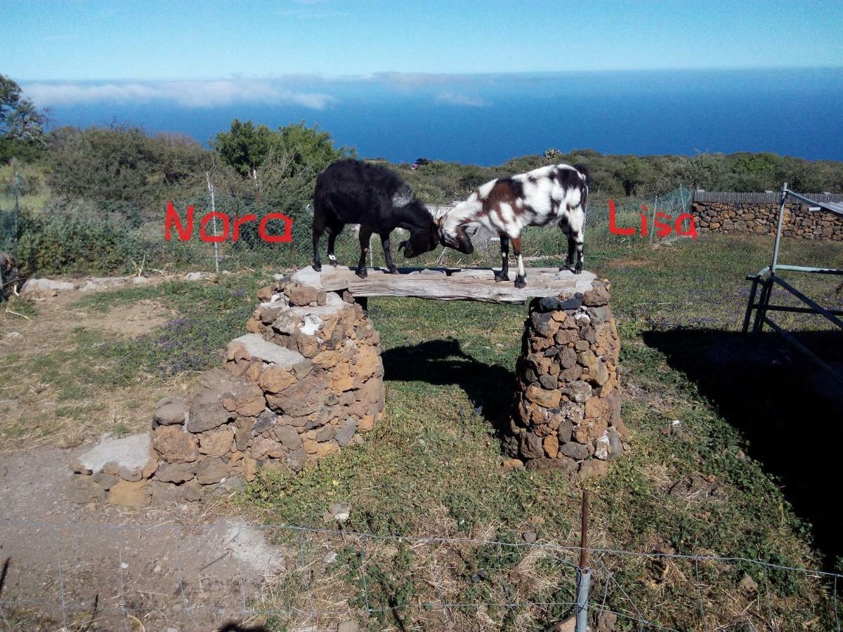 Finca La Ramona Isora Ngoại thất bức ảnh